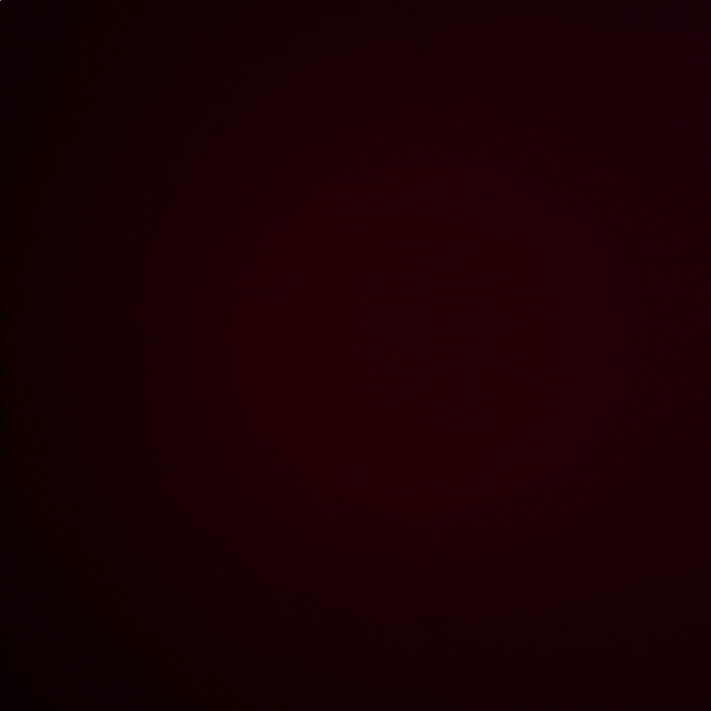 Meet your Posher, Sophia